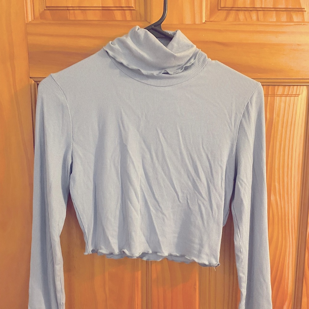 Wild Honey Cropped Turtle Neck
